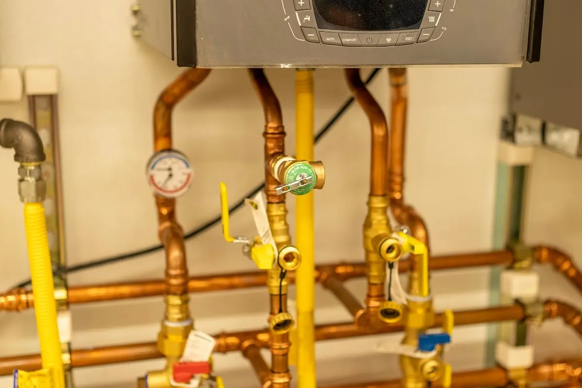 Licensed technician providing Emergency Plumbing for a homeowner in Isle of Palms